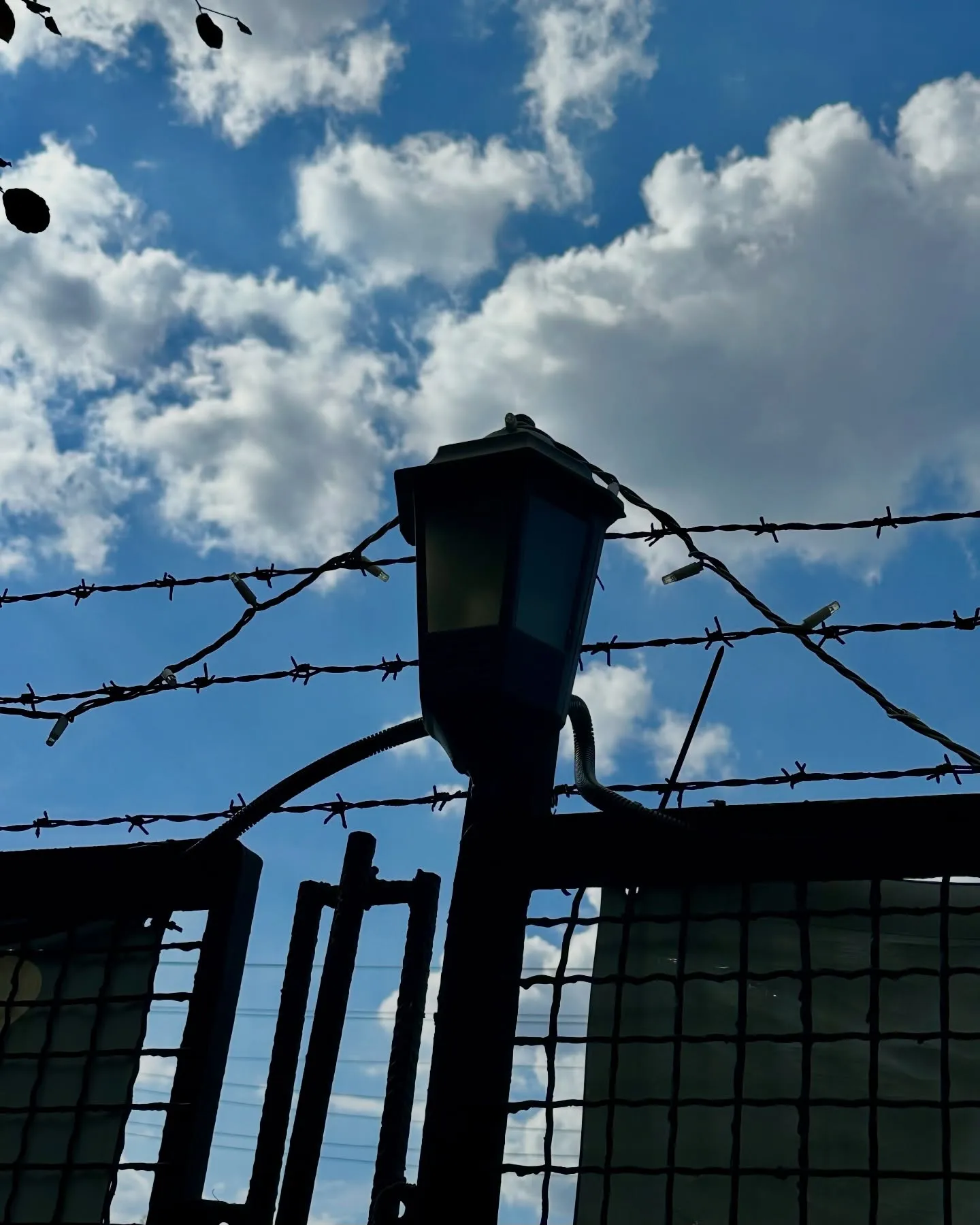 Czarny kotek wyleguje się na kamiennym tarasie (zdjęcie 2) — tatuaż, Wujek Darek, Warszawa, Polska